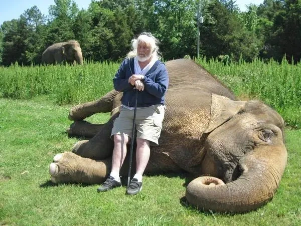 Elephants at former Riddle's Sanctuary